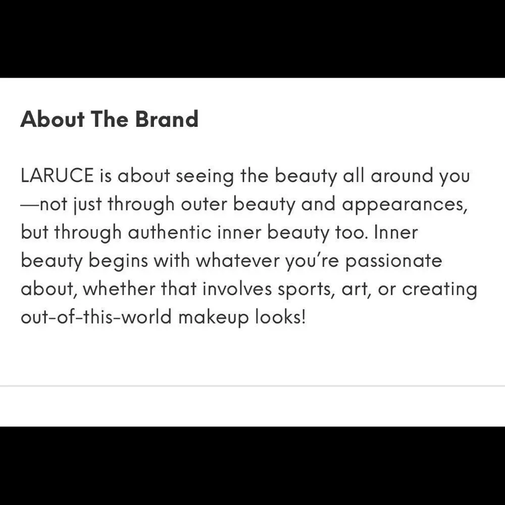LARUCE Airbrushed look Brush NWT Fantastic Amazing